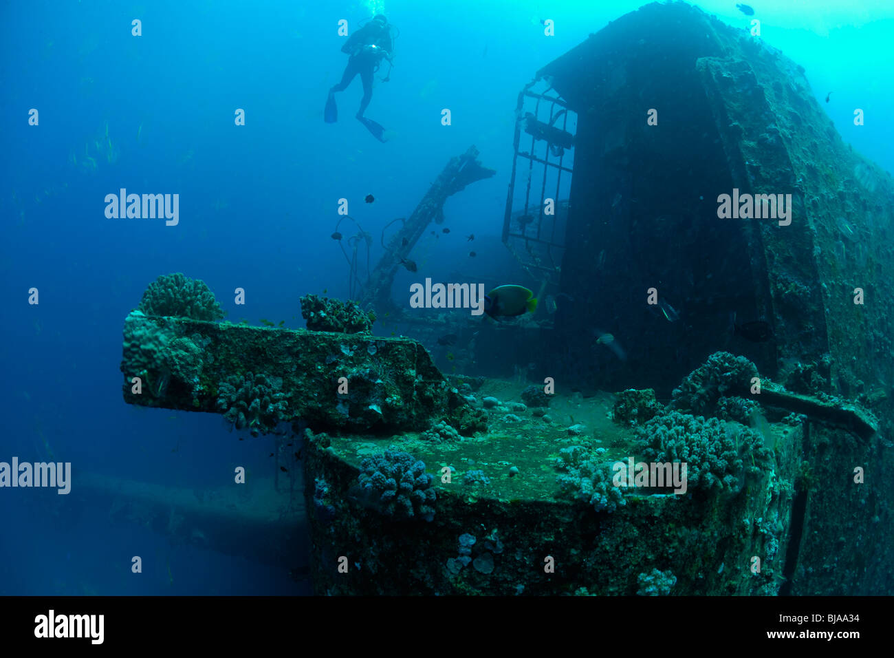 Scuba diver over the Salem Express wreck off Safaga, Red Sea. Stock Photo