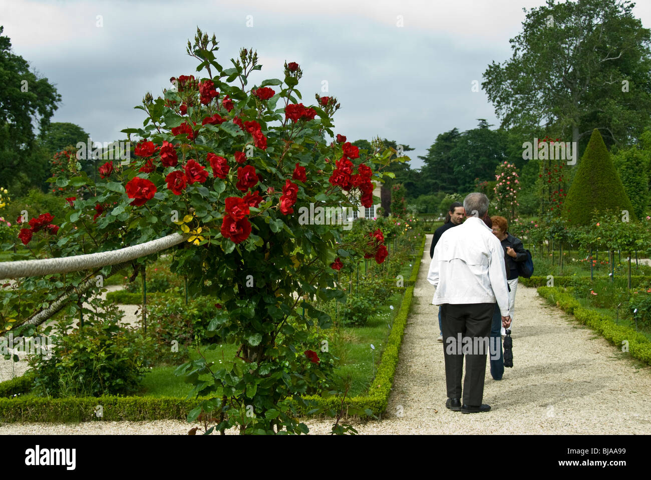 Paris, France, Public Parks, Group of People Visiting Jardin de Bagatelle Rose Garden in Boulogne Park, Stock Photo