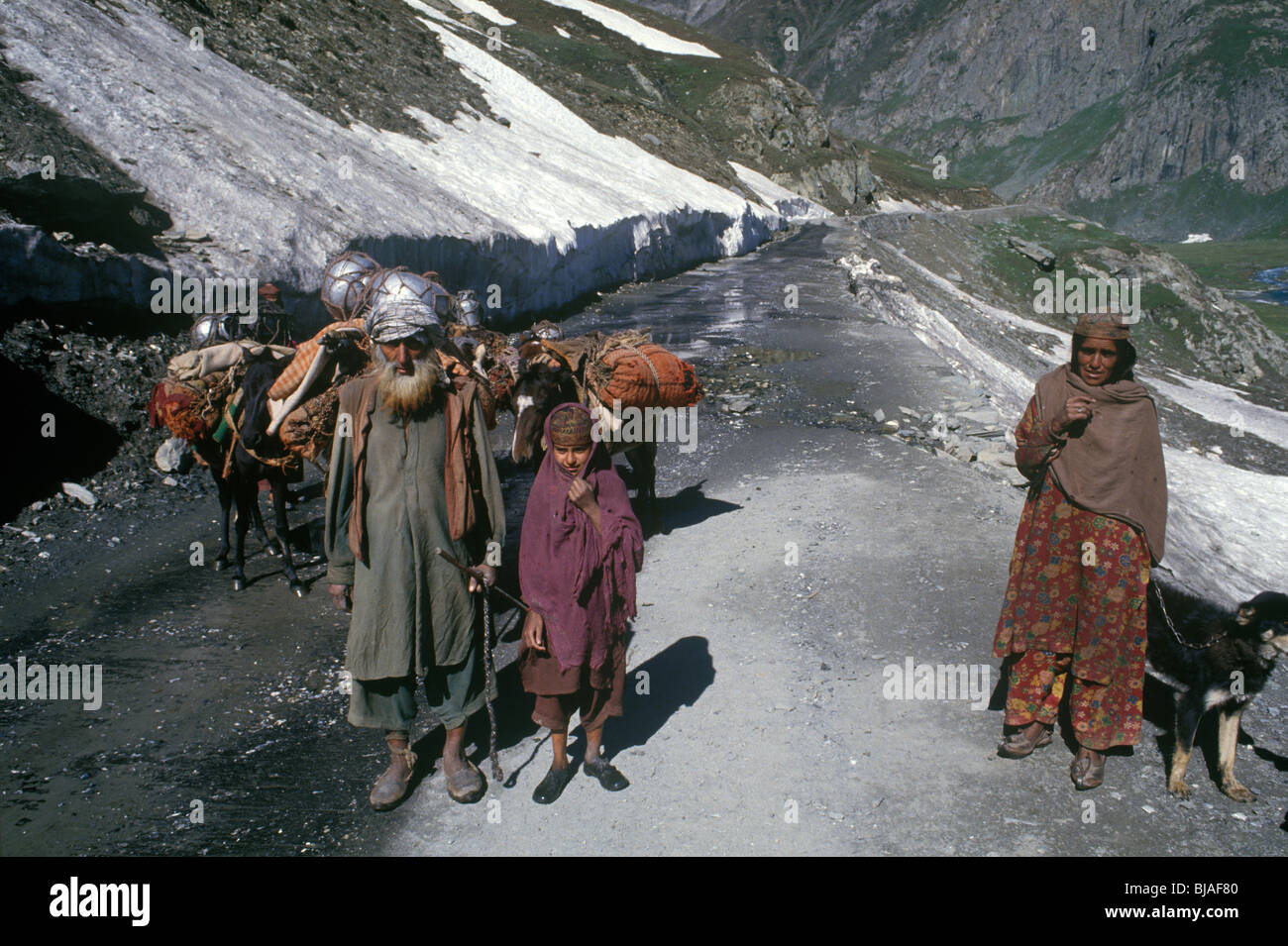 Itinerant family high in the Himalayas Stock Photo