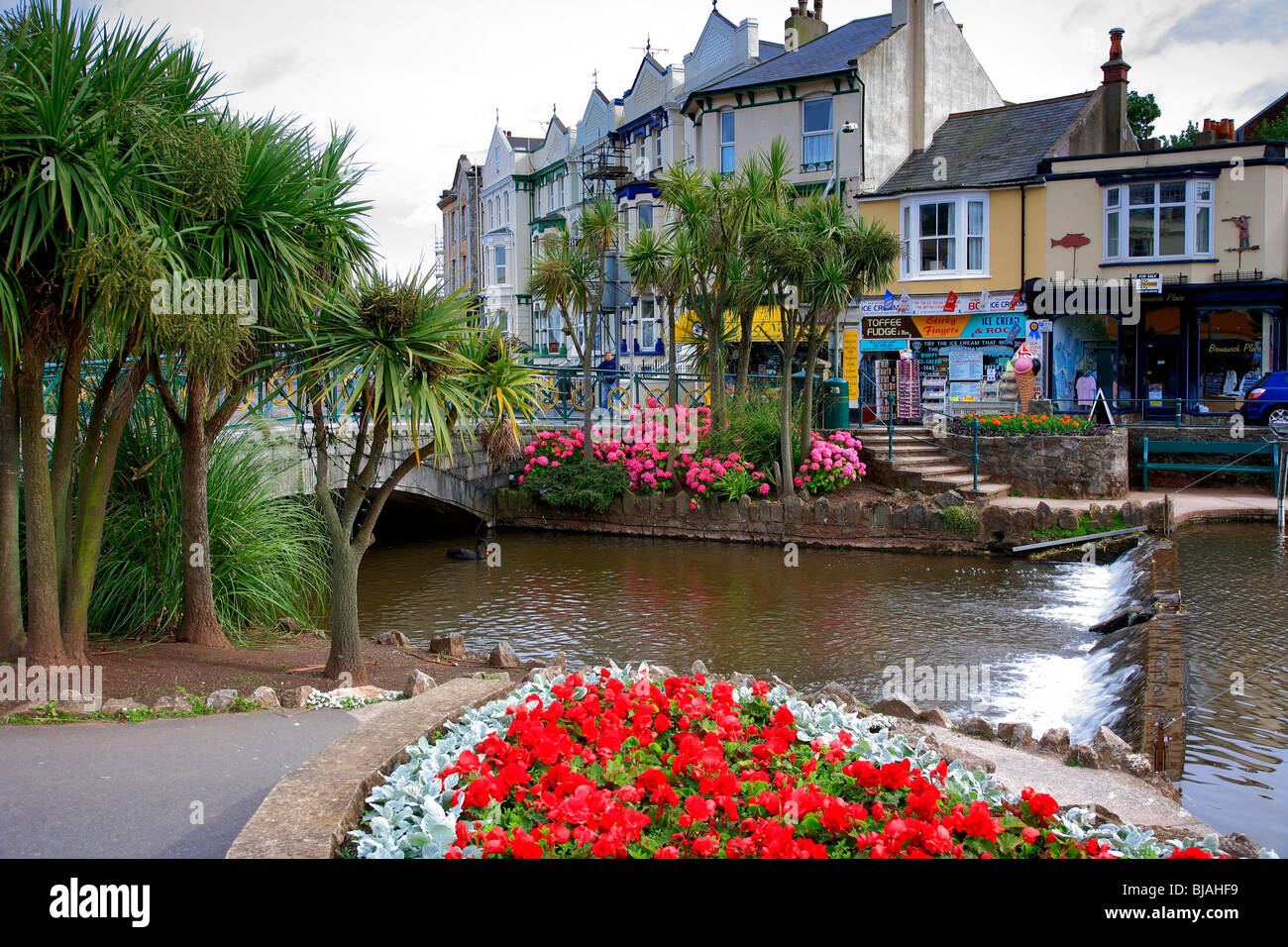 The Lawns gardens Dawlish town Devon England Stock Photo Alamy