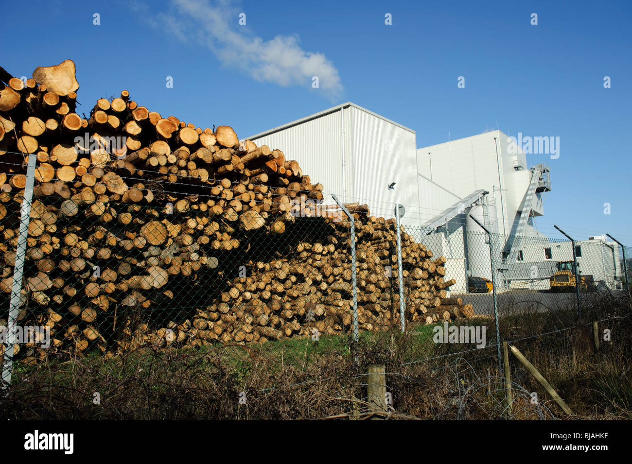 Fuel stocked up outside the Western Wood biomass energy plant, Margam , South Wales UK Stock Photo