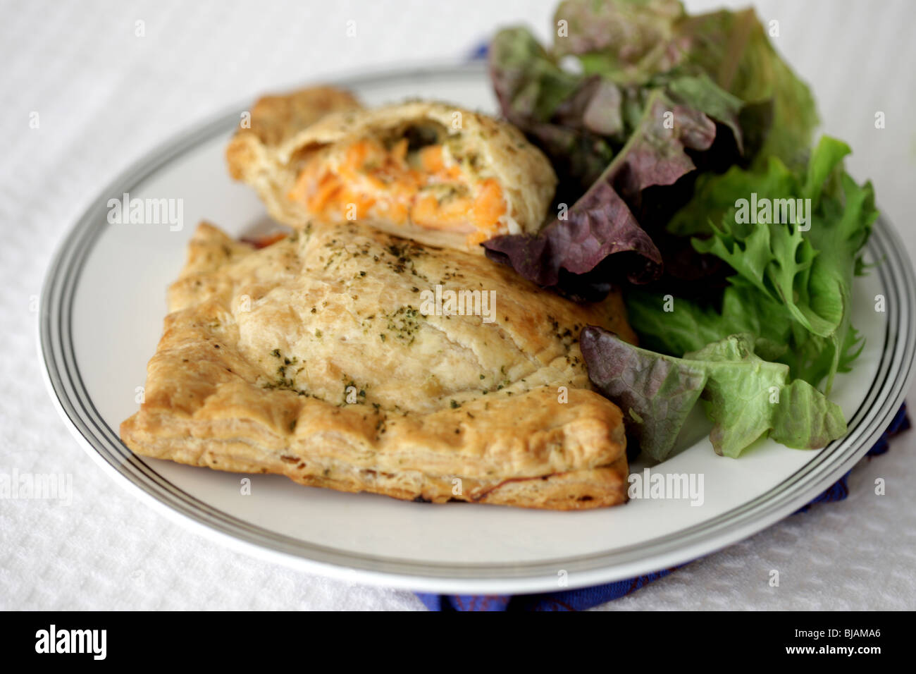 Salmon En Croute Stock Photo Alamy