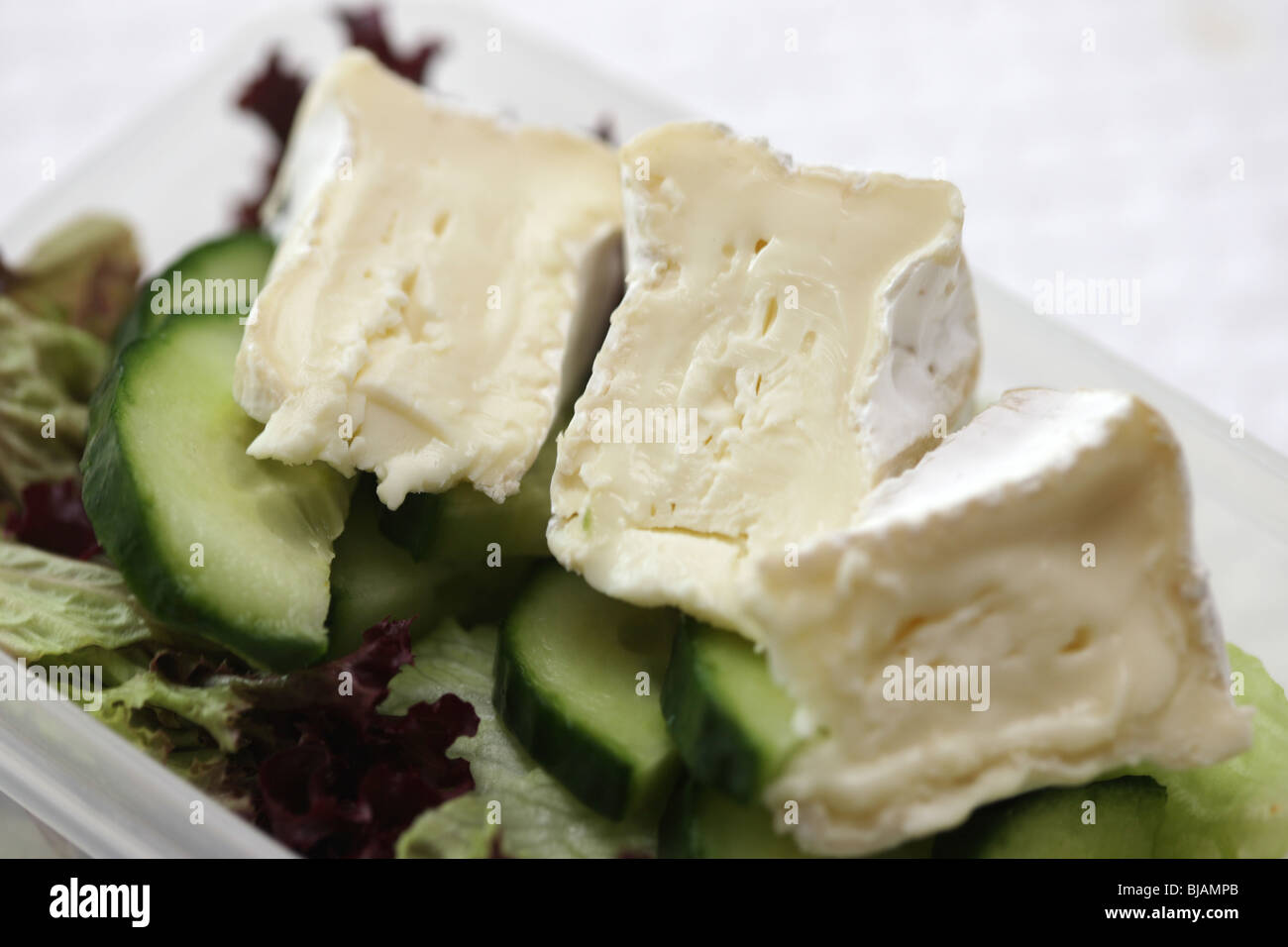 Brie Cheese Salad Lunchbox Stock Photo Alamy
