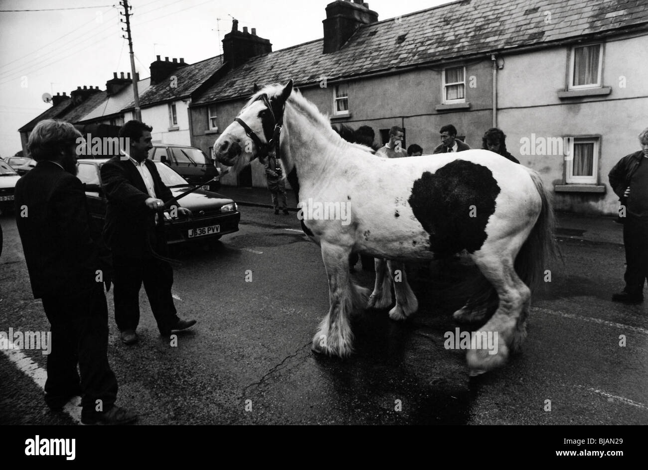 Ballinasloe horse fair County Galway Ireland Stock Photo Alamy