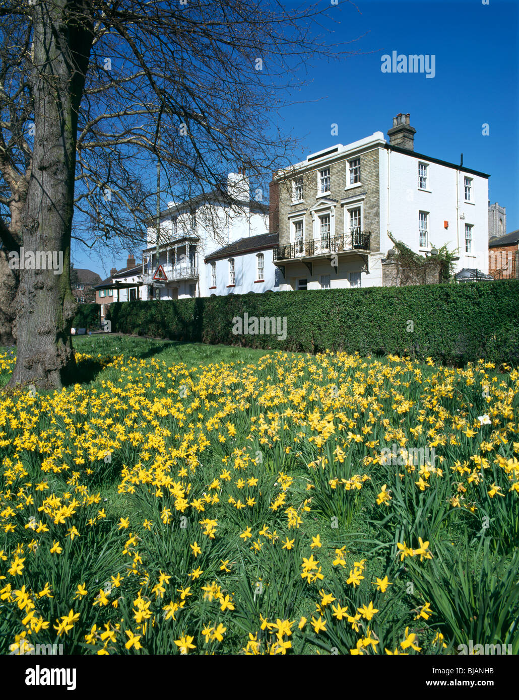 Chapelfield gardens norwich hires stock photography and images Alamy