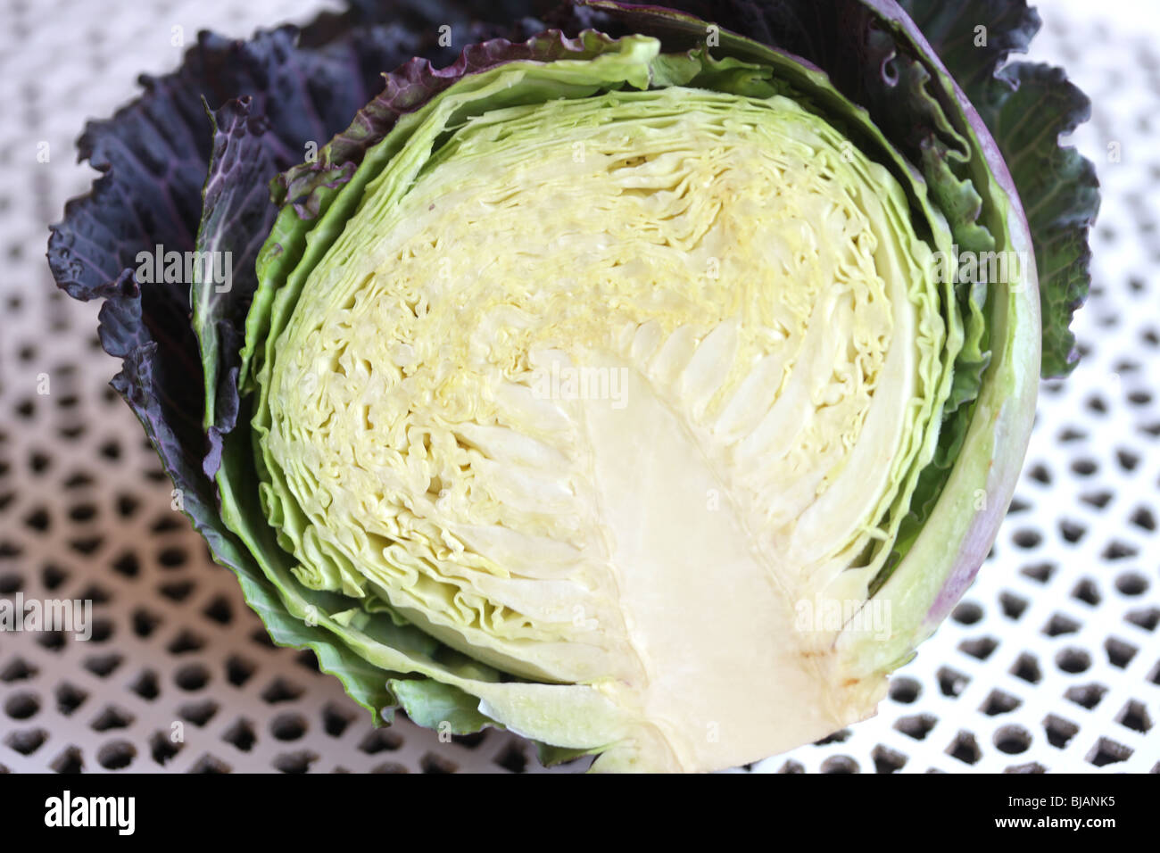 King cabbage hires stock photography and images Alamy