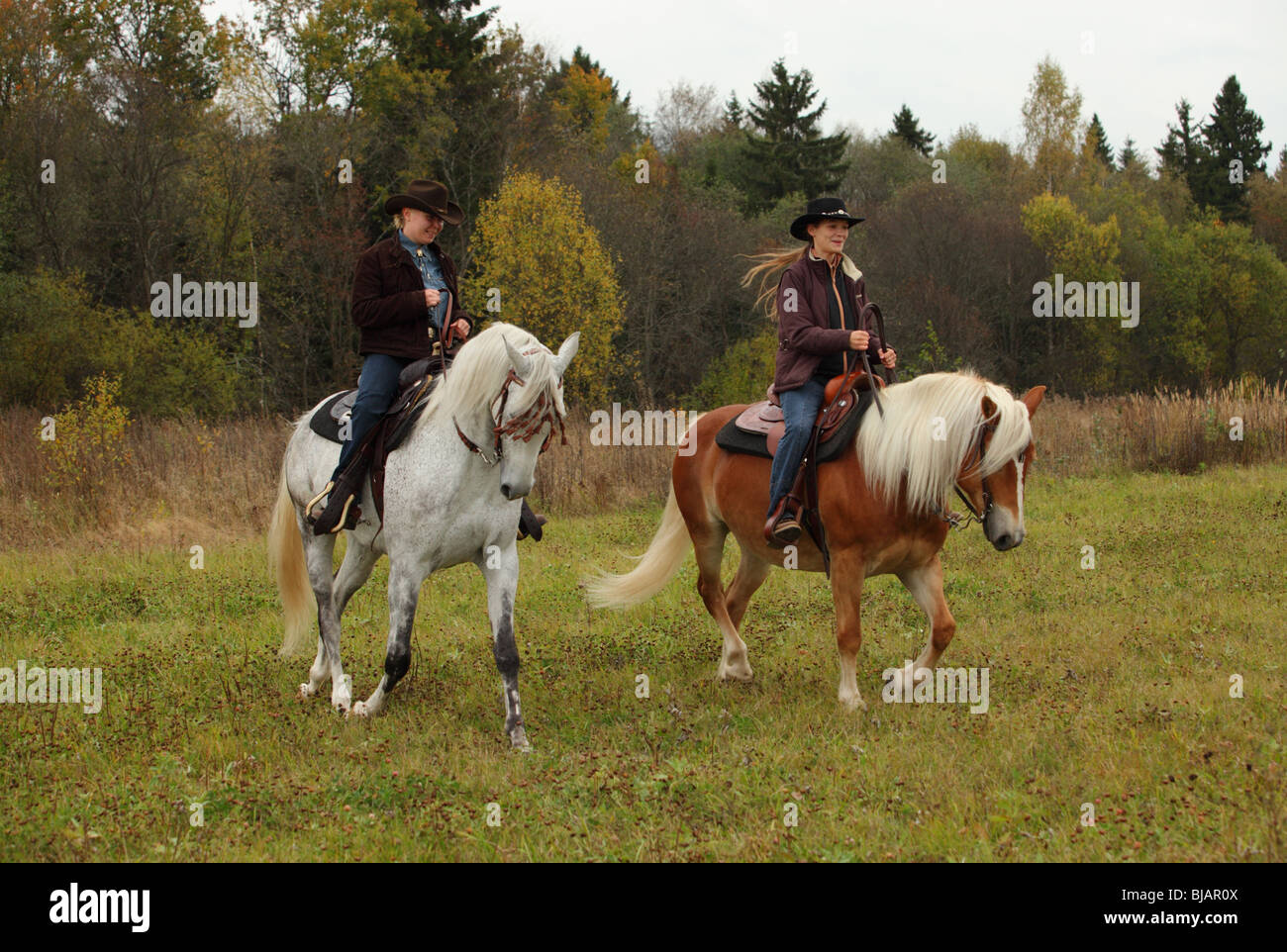 Two cowboys riding horses hi-res stock photography and images - Alamy