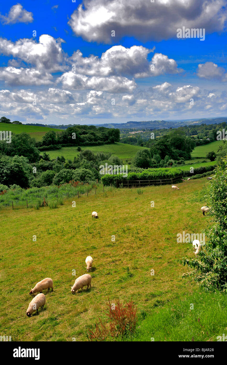 Summer Landscape view Chudleigh Down Dartmoor National Park Devon England Stock Photo Alamy