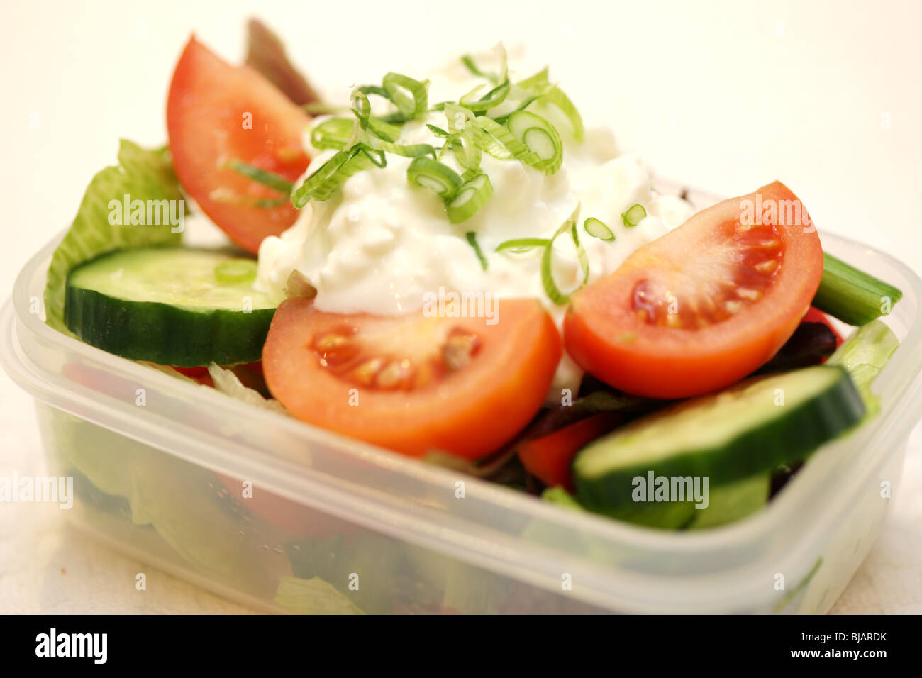 Cottage Cheese and Salad Lunchbox Stock Photo Alamy