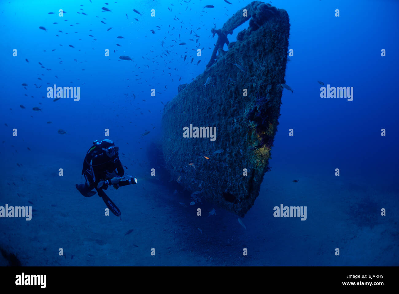 Diver exploring the Rubis wreck in the Mediterranean Sea Stock Photo ...