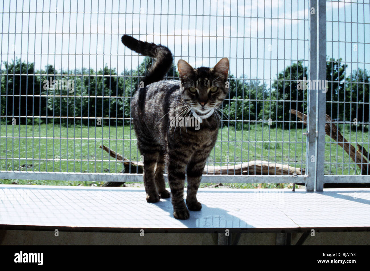 Page 3 - 1 067 High Resolution Stock Photography and Images - Alamy
