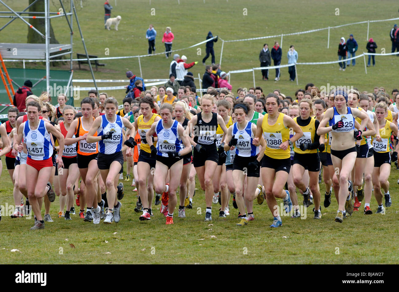 Cross country running hi-res stock photography and images - Alamy