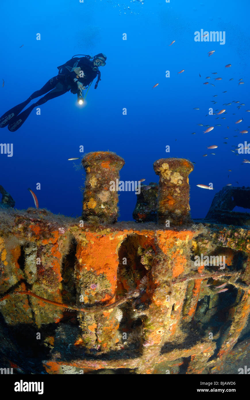 Diver scuba diving on the Rubis wreck in the Mediterranean Sea Stock Photo