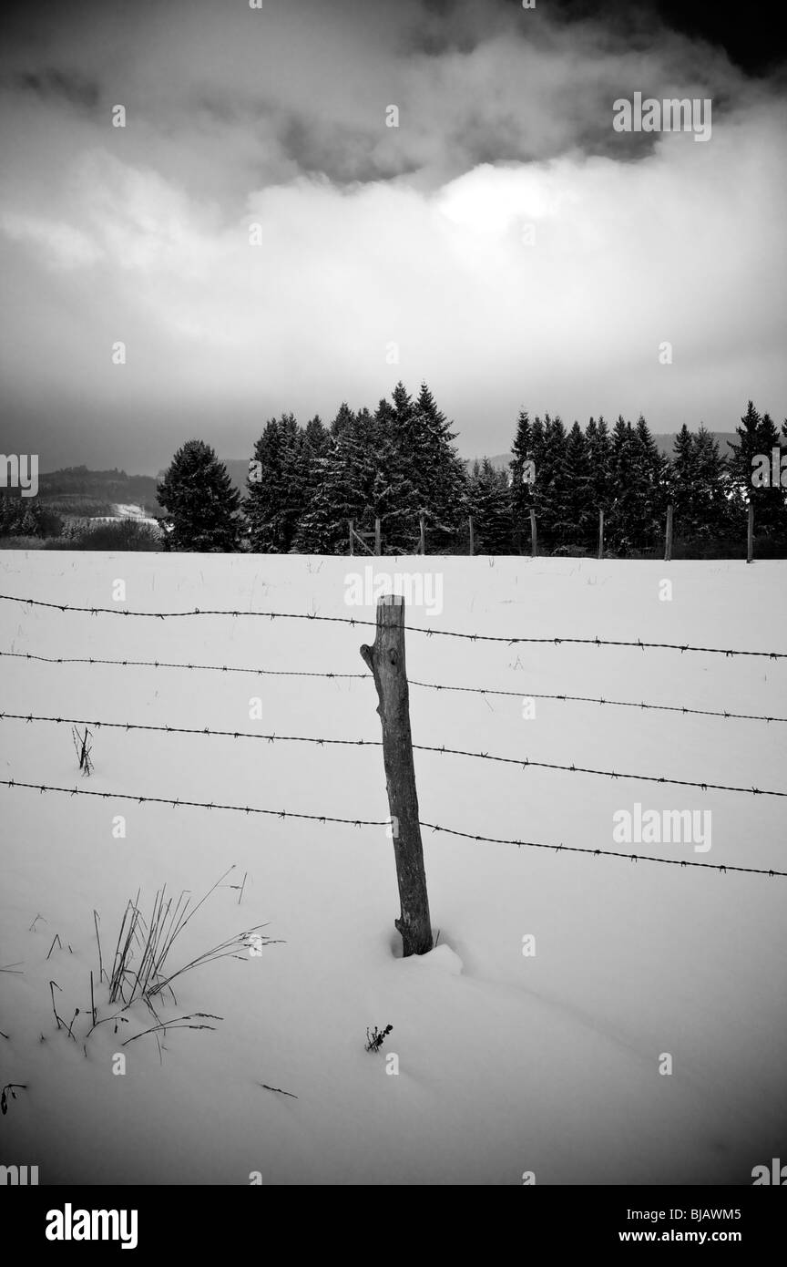 Fence post with barbed wire in a snowy landscape Stock Photo - Alamy