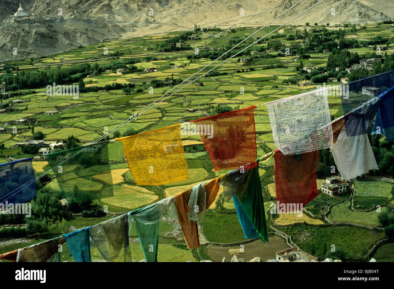 Northern India, Ladakh. Overview from Leh into the Indus Valley Stock Photo