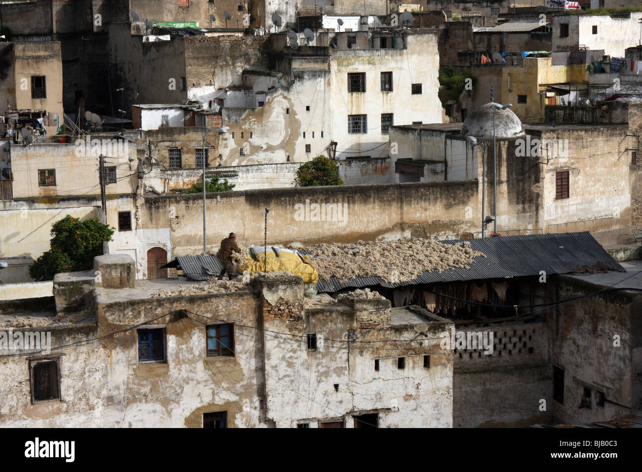 Old houses in the Medina of Fes, Morocco Stock Photo Alamy