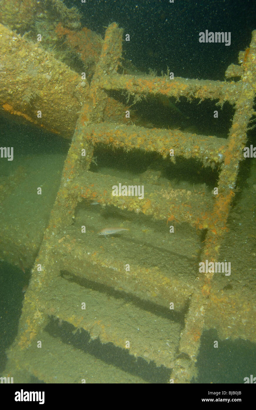 Remainings of the wreck of US Susan B Anthony in Normandy Stock Photo