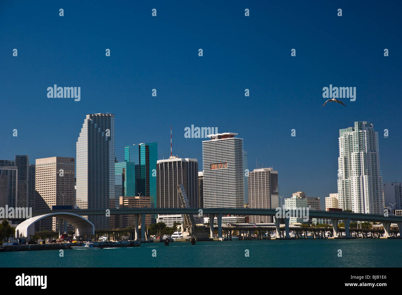 Miami skyline and water. Stock Photo