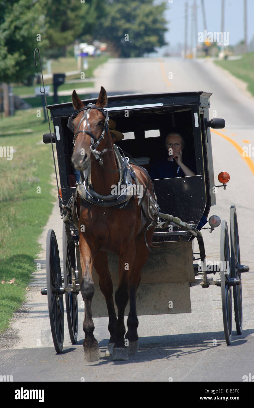 A horsedrawn carriage of Amish People, Topeka, United States of