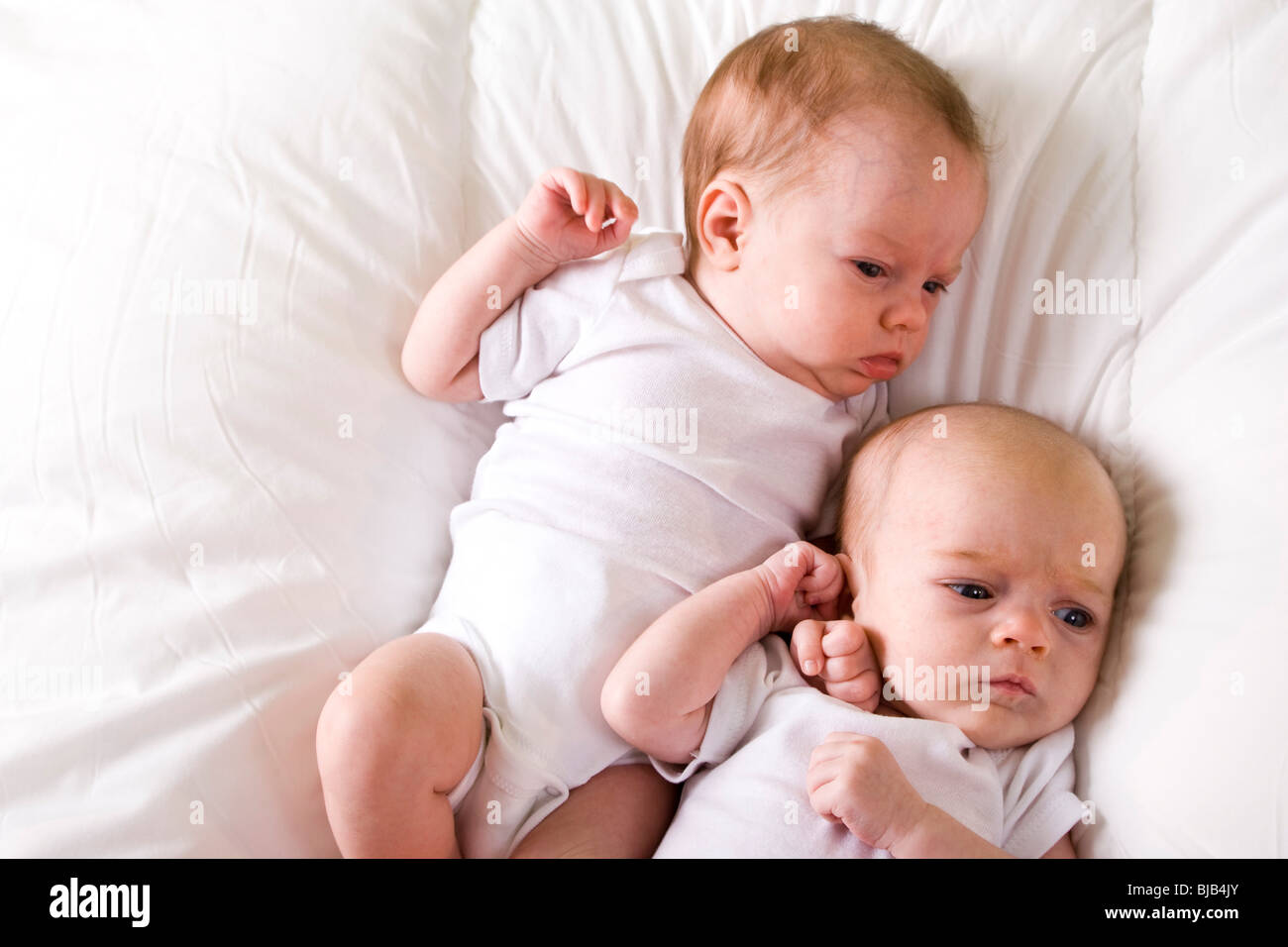 One month old twin babies lying side by side on soft white blanket