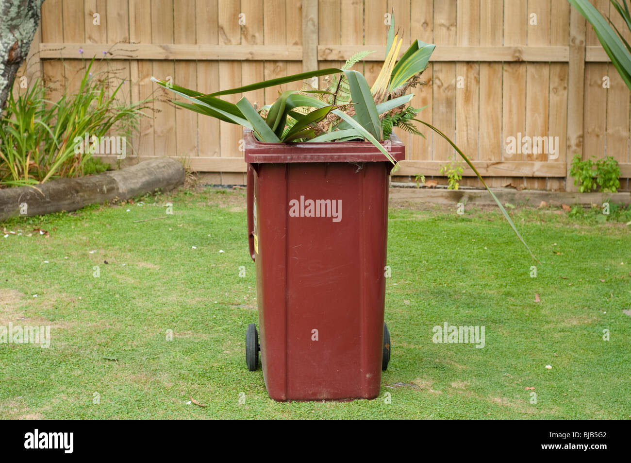 overflowing wheelie bin in garden Stock Photo Alamy