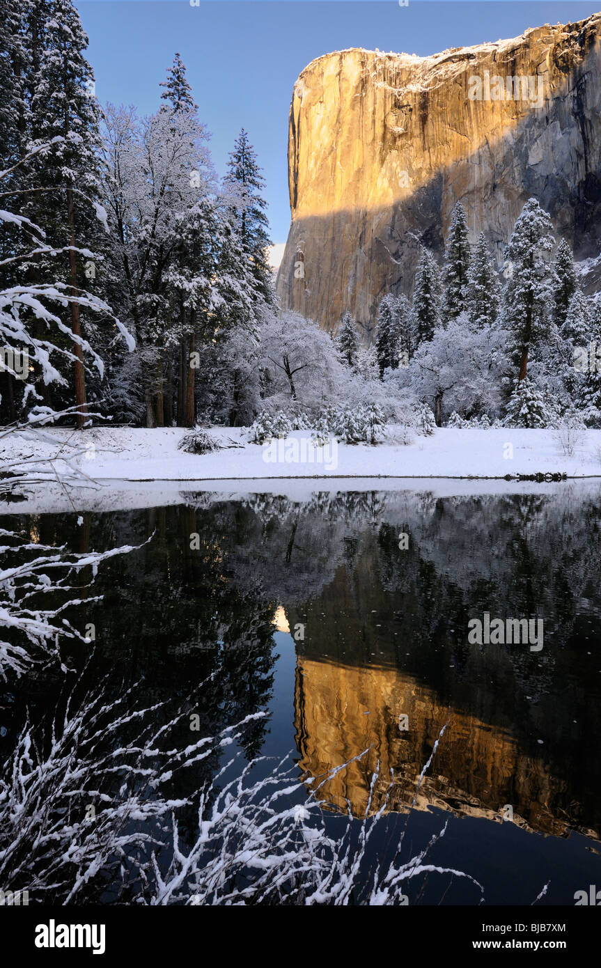 Sunrise on El Capitan mountain reflected in the Merced River with snow covered trees in Yosemite Valley Yosemite National Park California USA Stock Photo
