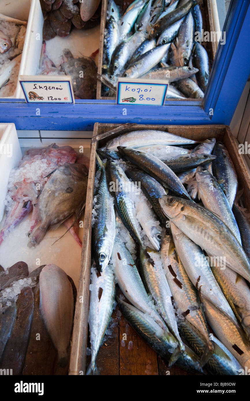 Fresh fish in fish market in Itea, Greece. Stock Photo