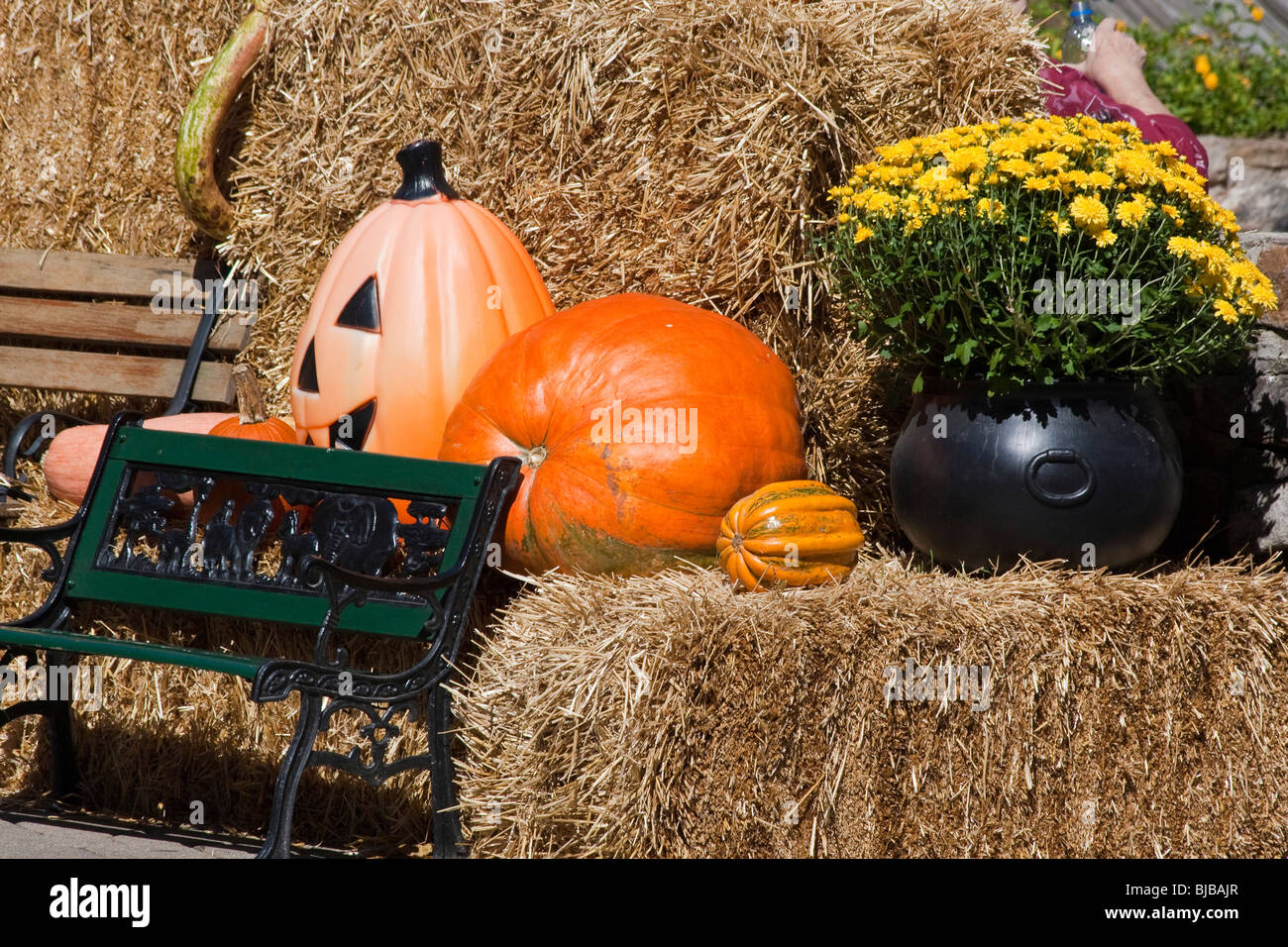 Halloween outside The main street Gatlinburg Tennessee in USA hi-res Stock Photo