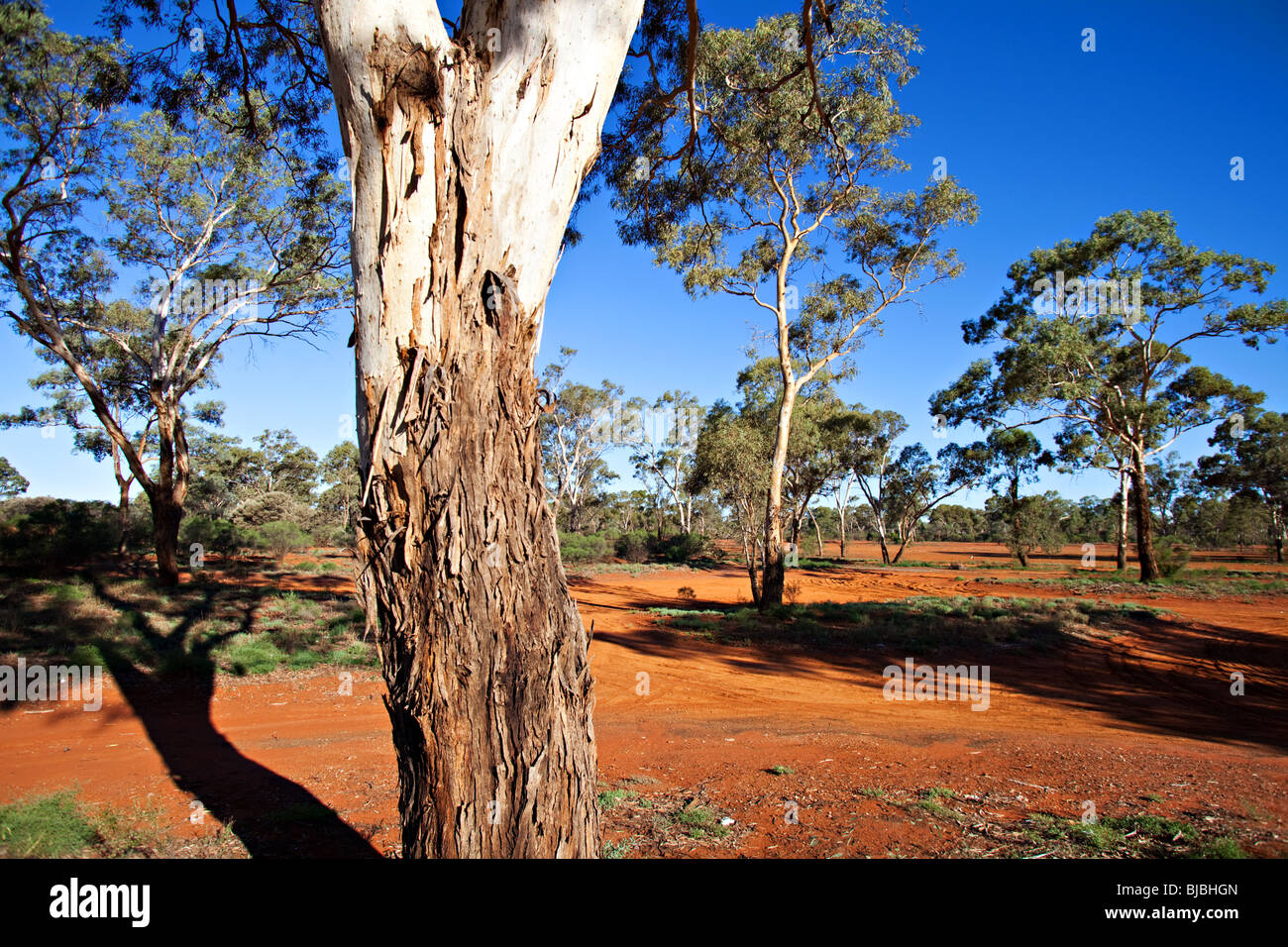 Australian outback landscape near Broken Hill, NSW Australia Stock Photo