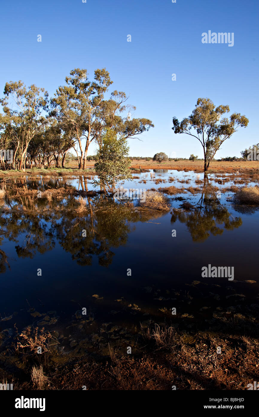 Water in Australian outback after floods, NSW Australia Stock Photo