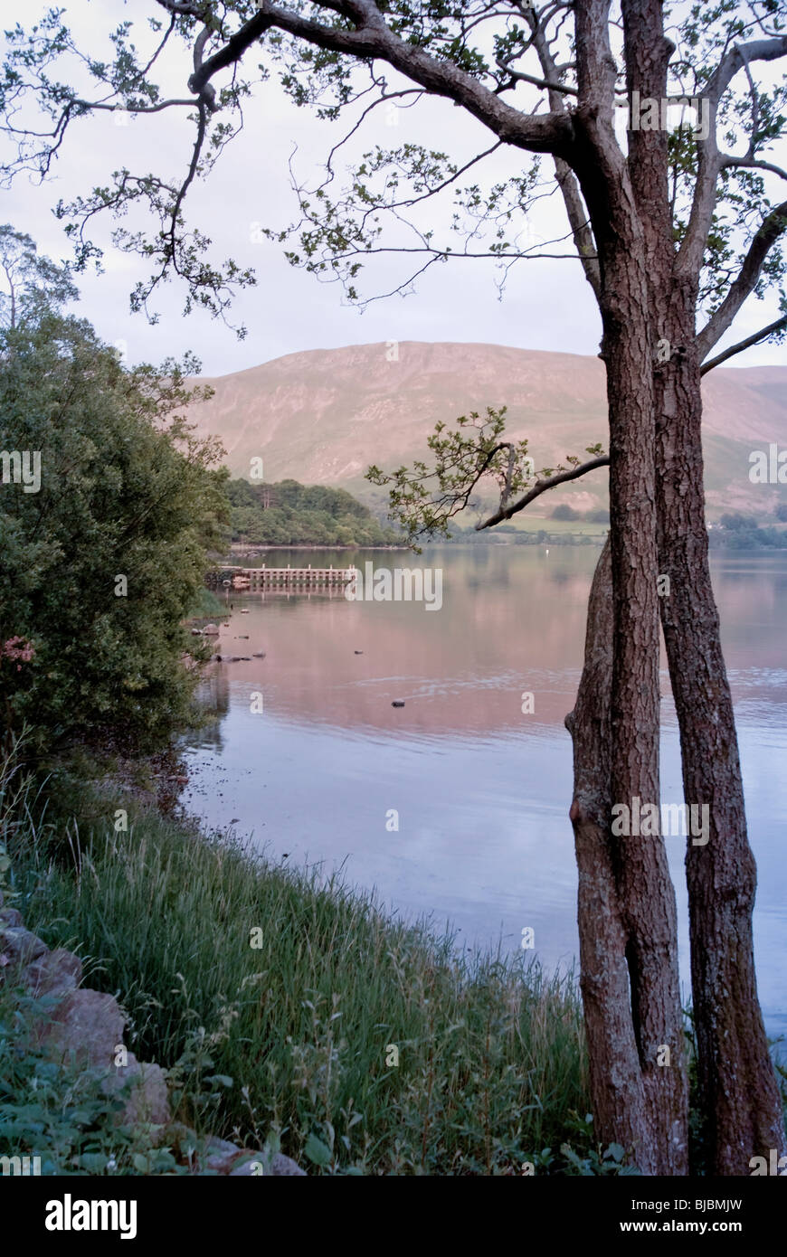 Calm lake green trees hi-res stock photography and images - Alamy