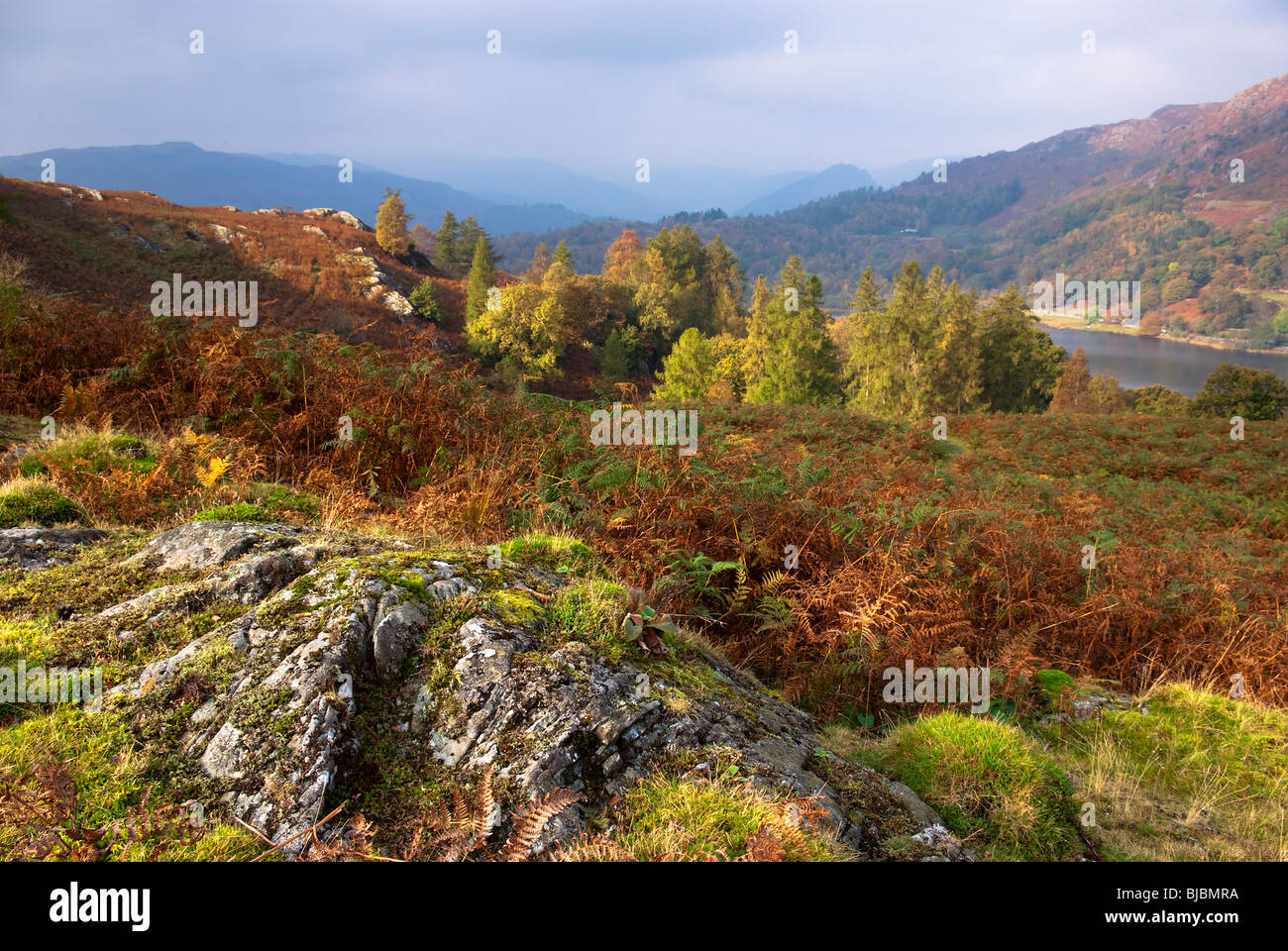 View From Loughrigg Fell in Autumn, Lake District National Park Stock Photo
