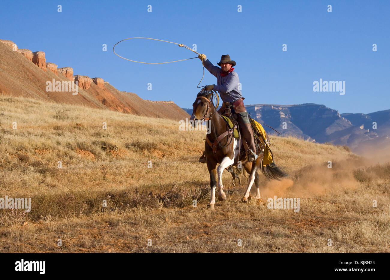 Cowboy with lasso Stock Photo