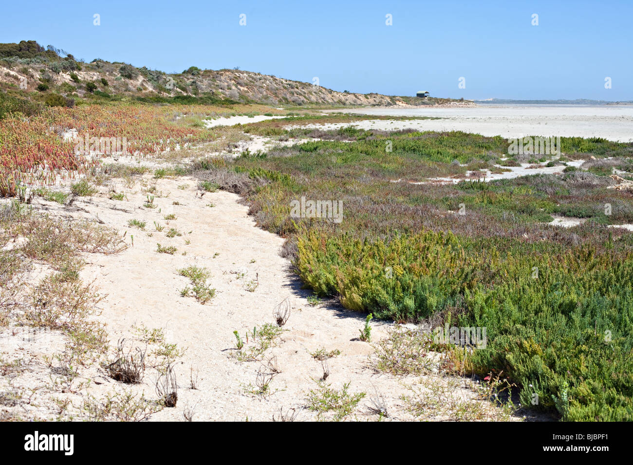 Coorong National Park, South Australia Stock Photo