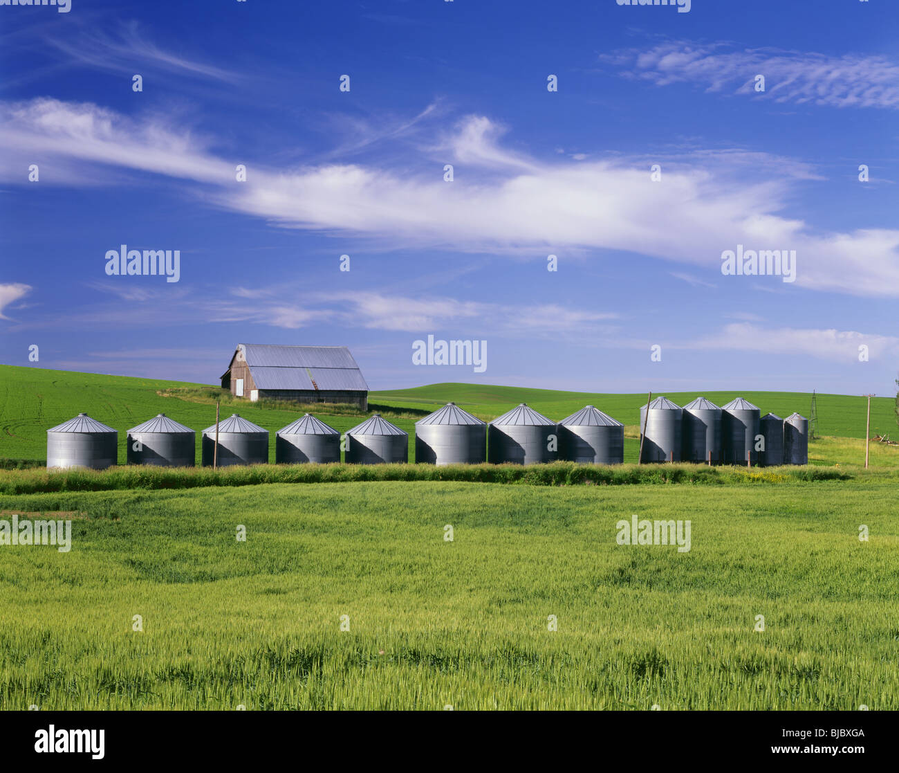 WASHINGTON - Barn and grain silos among the fields of the fertile Palouse Region of Eastern Washington. Stock Photo