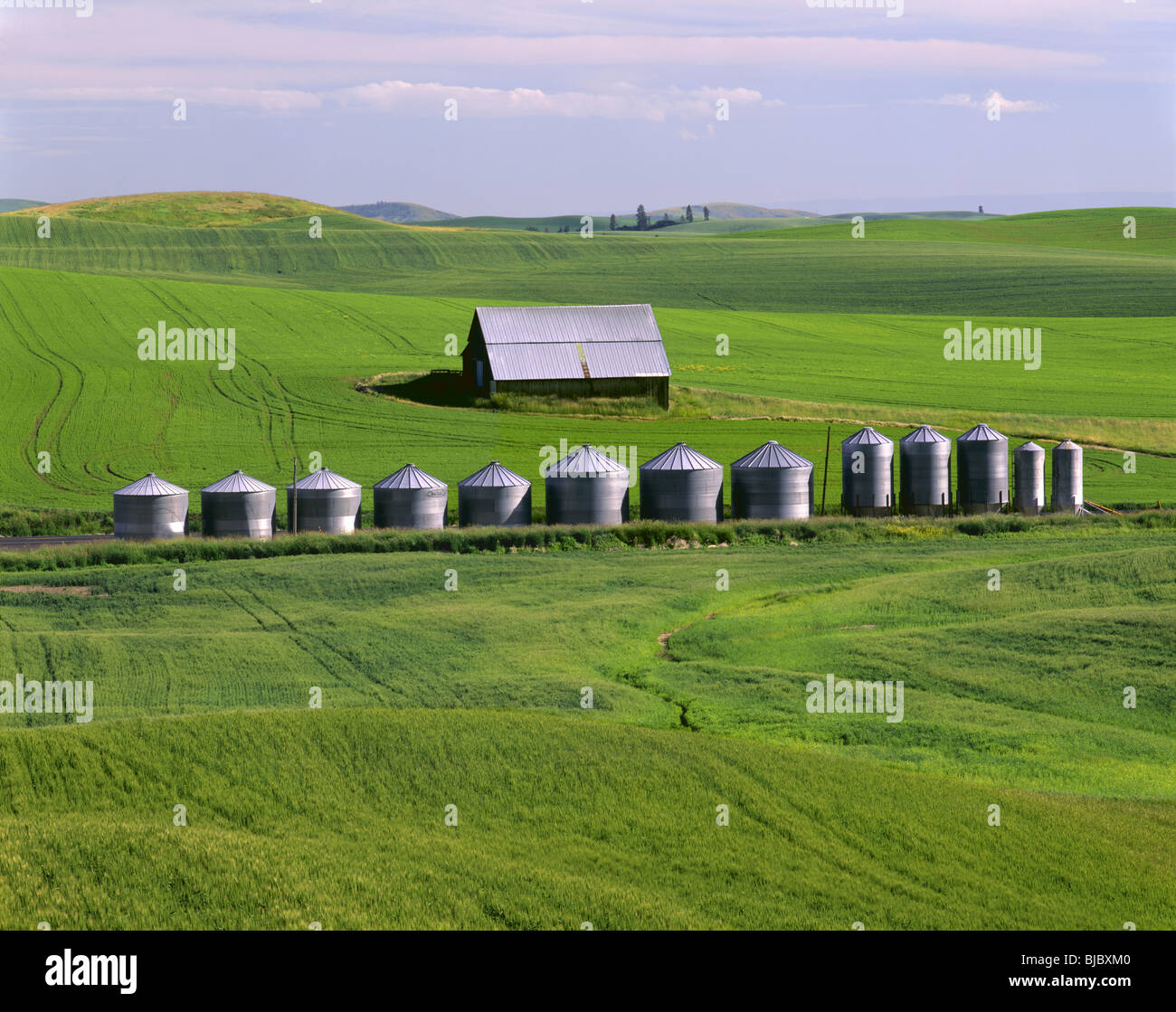 WASHINGTON - Barn and grain silos among the fields of the fertile Palouse Region of Eastern Washington. Stock Photo