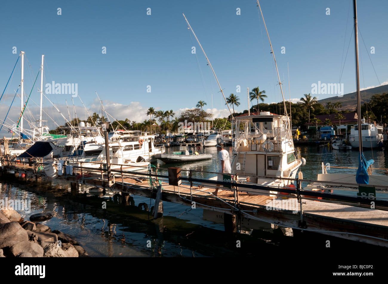 Early morning at Lahaina Harbor West Maui Hawaii showing big game fishing boats Stock Photo