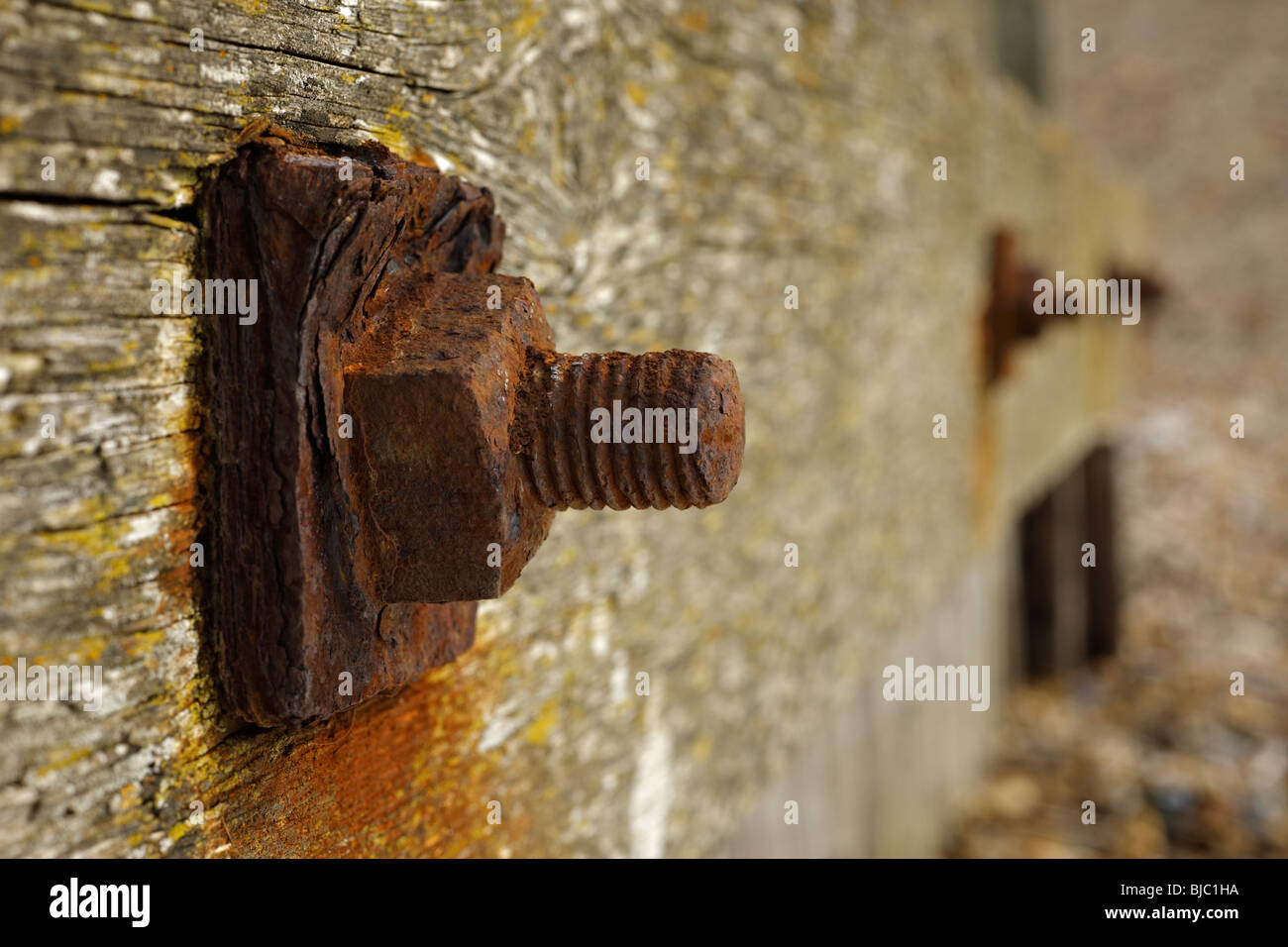 Rusty bolt. Stock Photo