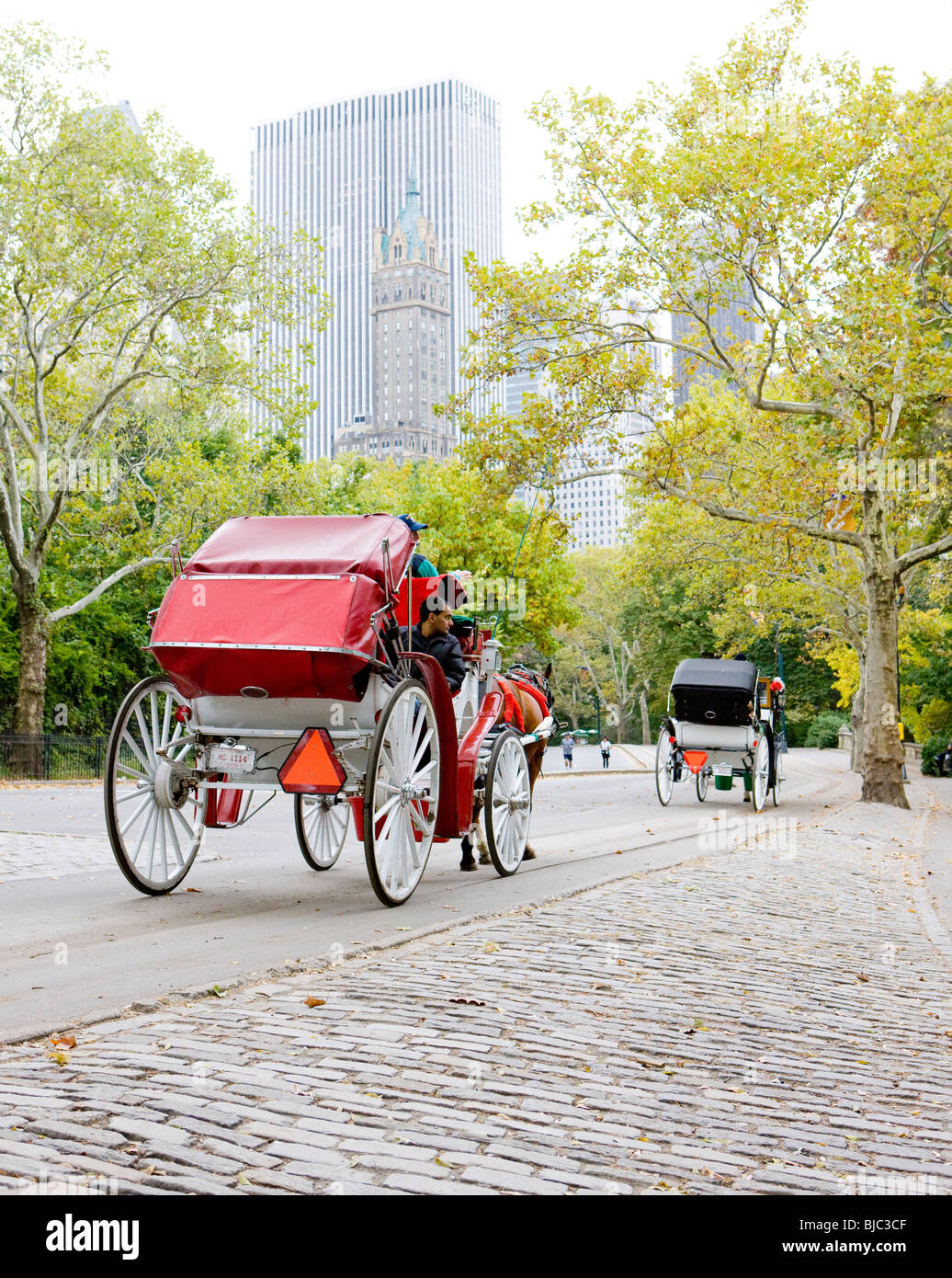 New york city central park carriages hi-res stock photography and ...