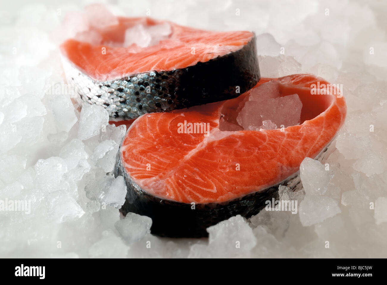 Fresh chilled salmon fish steaks on ice Stock Photo