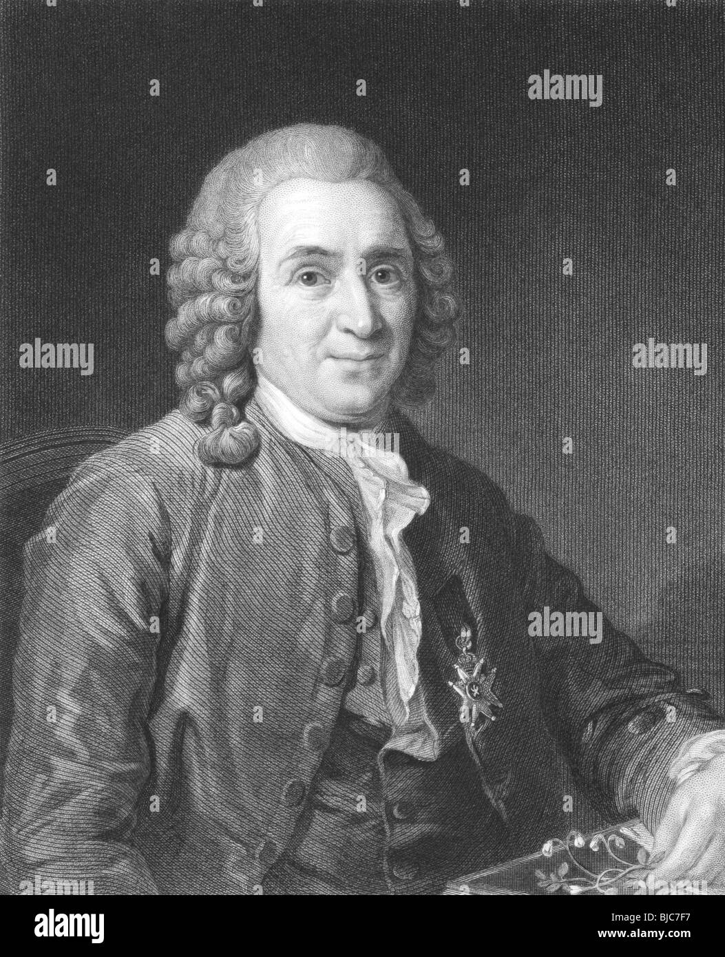 Carl Linnaeus (1707-1778) on engraving from the 1800s.Swedish botanist, physician, and zoologist. Stock Photo