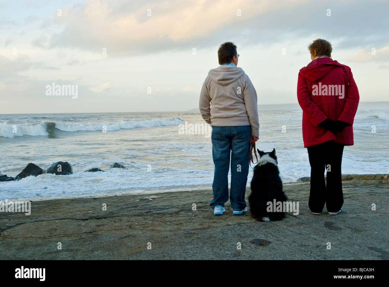 Two people and dog looking out to sea Stock Photo