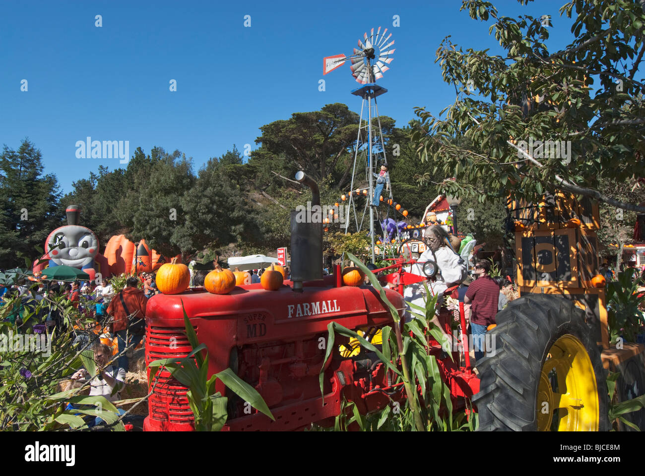 Half Moon Bay Halloween Festival 2024 Dacy Dorella