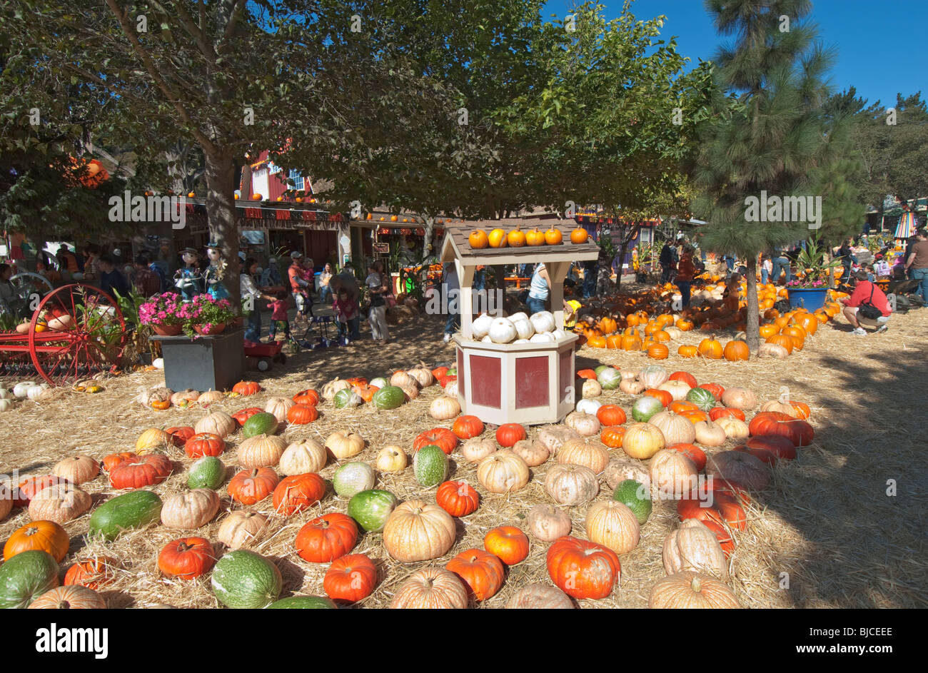 Lemos farm half moon bay hires stock photography and images Alamy