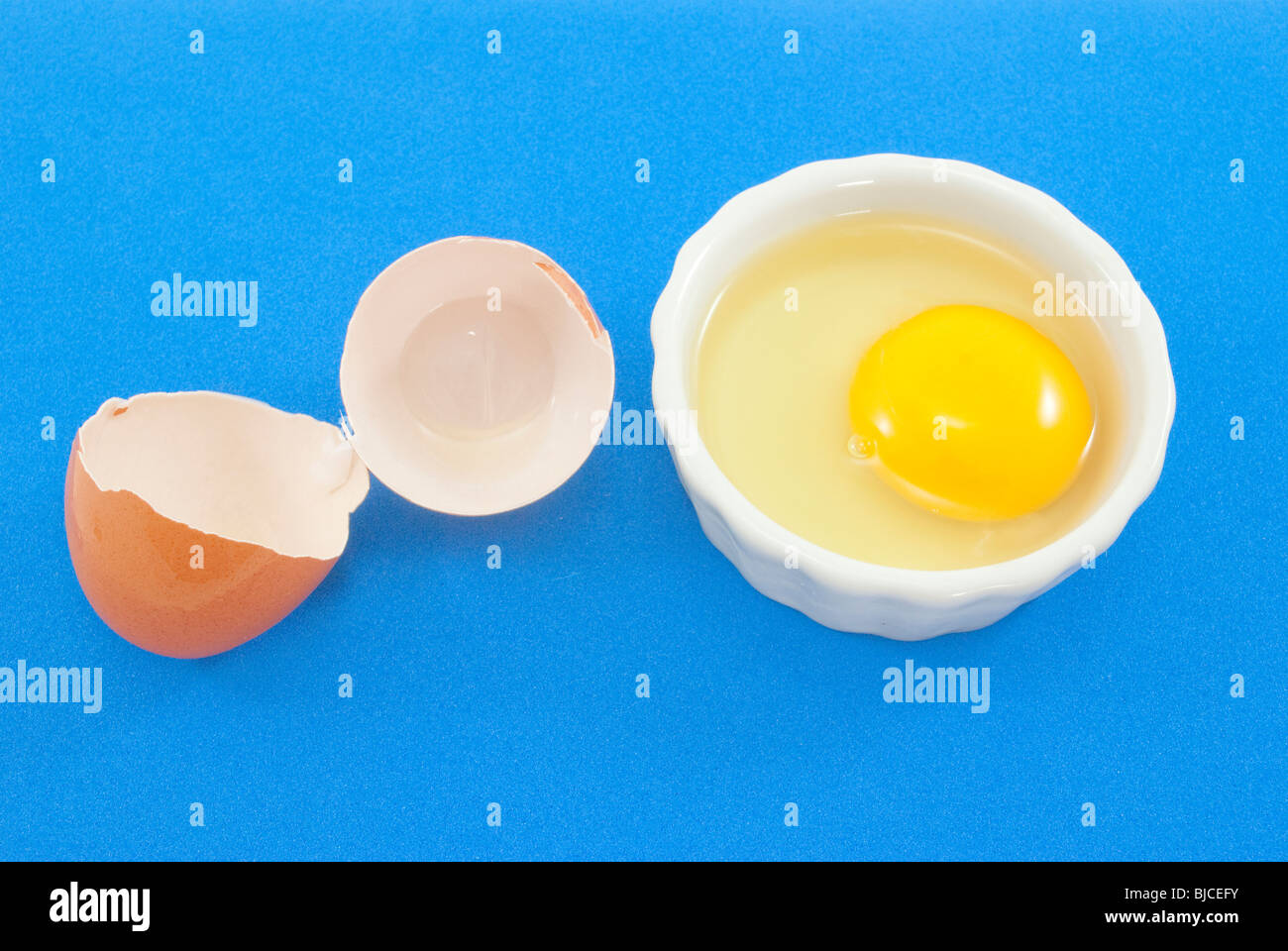egg and egg shell Stock Photo Alamy