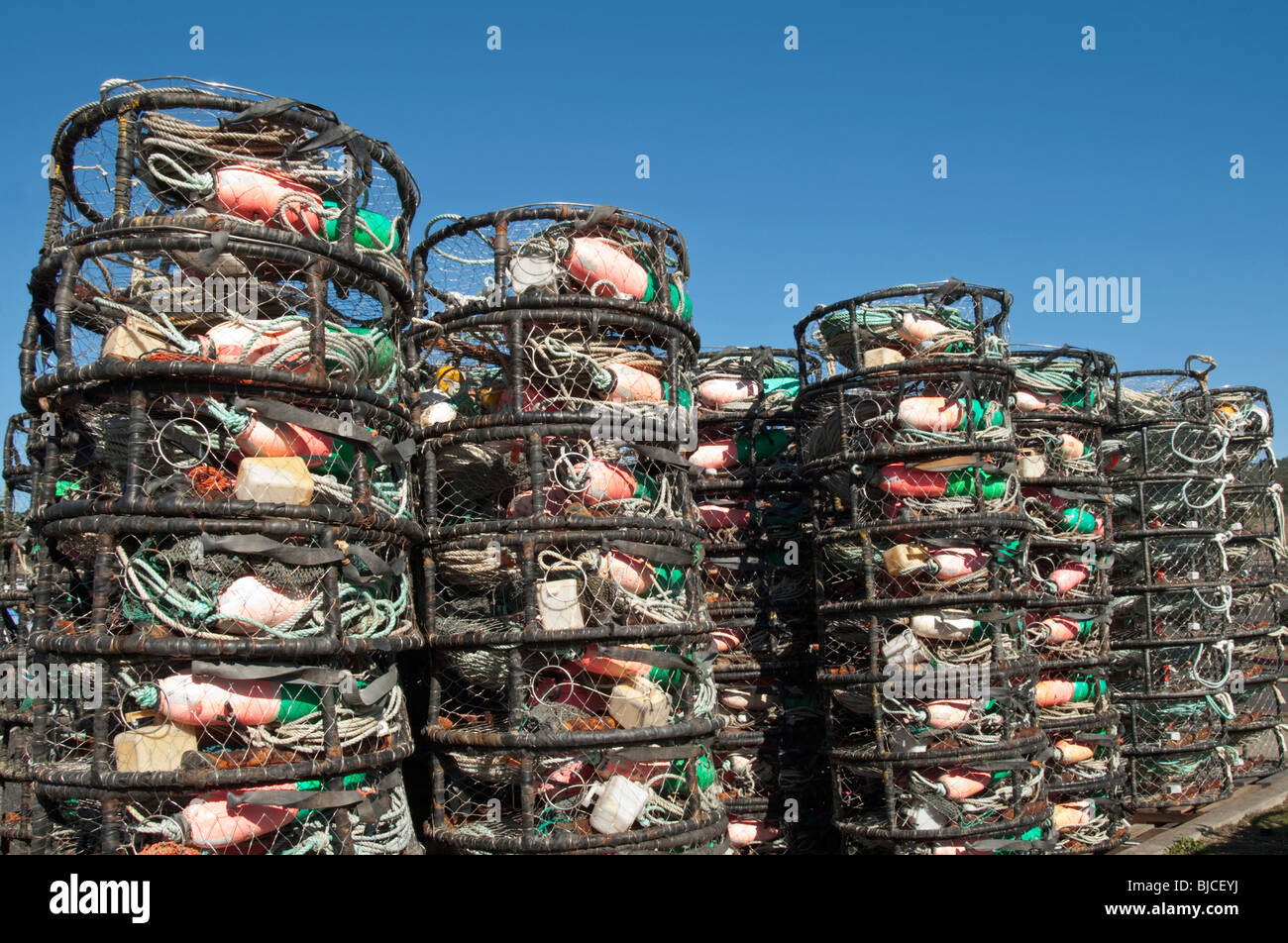 California, Half Moon Bay, Dungeness crab season, crab pots Stock Photo