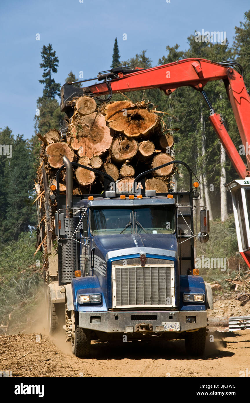 Loading a Logging Truck Stock Photo, Royalty Free Image: 28550076 - Alamy