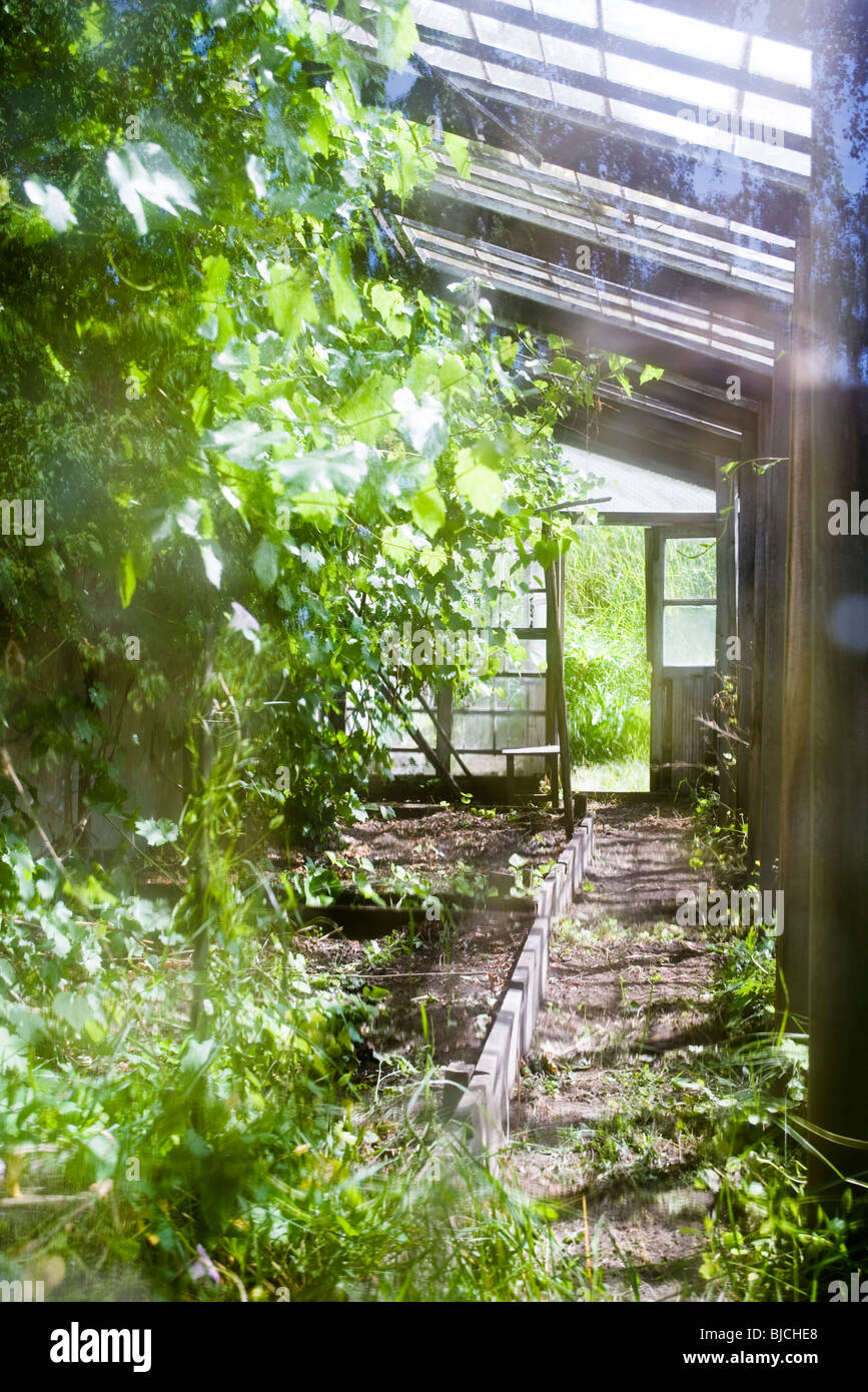 Contorted windows hi-res stock photography and images - Alamy