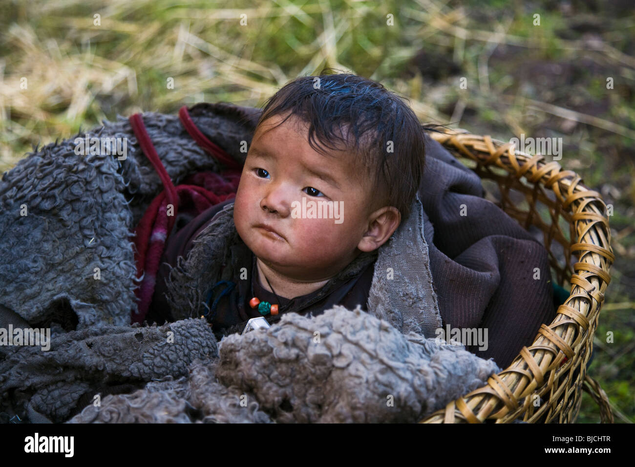 A NEPALI baby rests in a basket in NUPRI AROUND MANASLU TREK, NEPAL