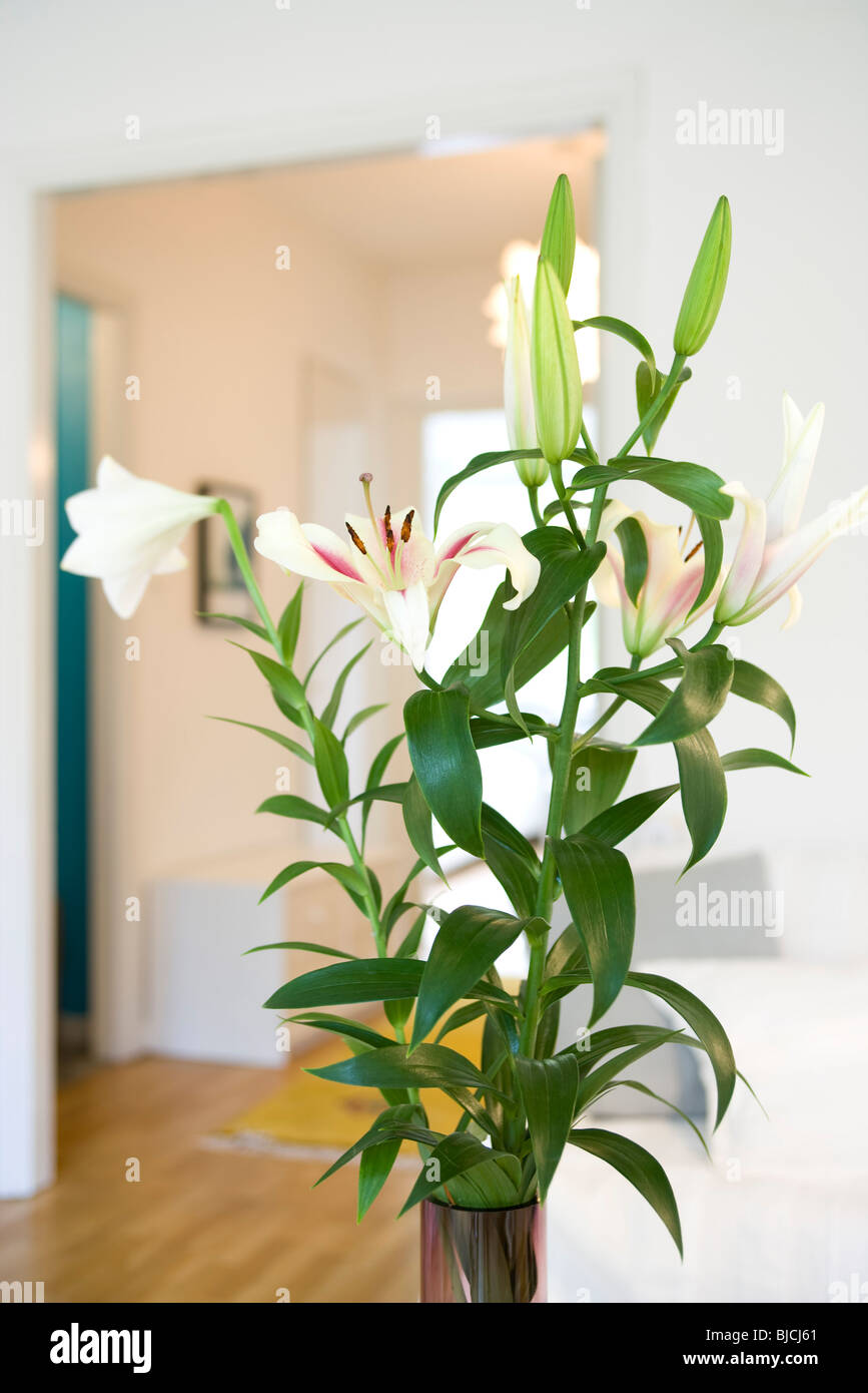 Fresh lilies arranged in vase Stock Photo